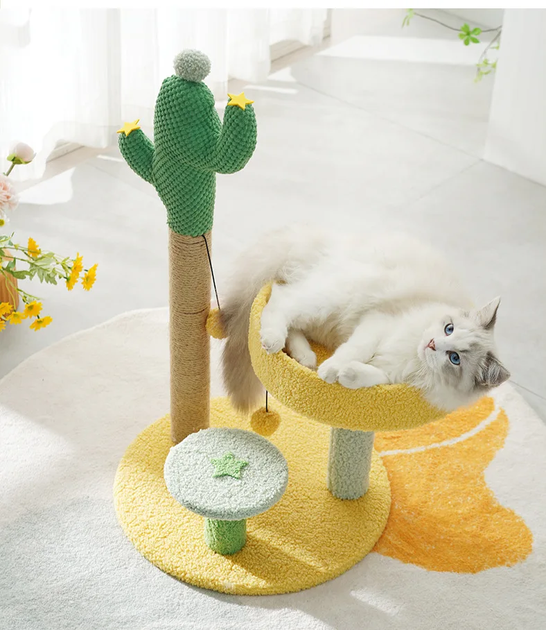 Gato descansando en plataforma del árbol