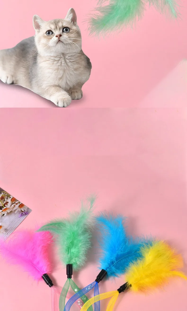 Gato jugando con el palo de plumas
