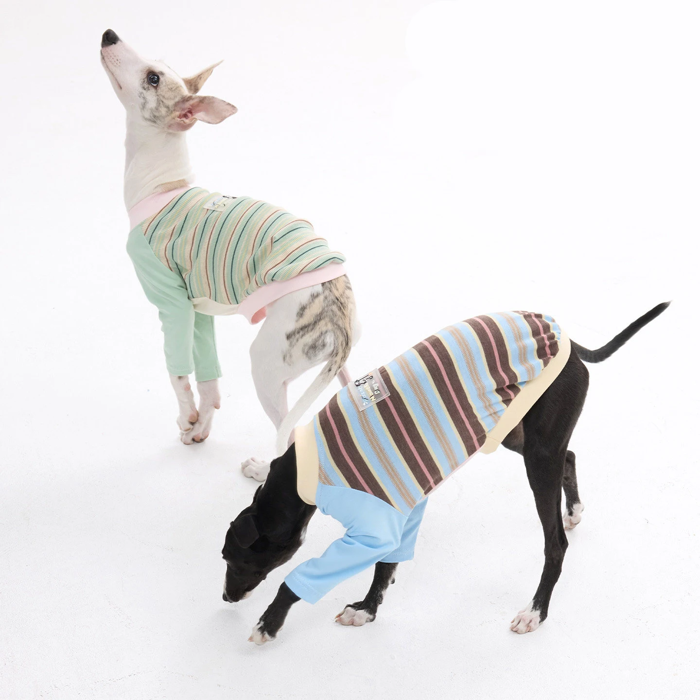 Abrigo de algodón a rayas para perros Galgo Italiano y Whippet - imagen 4