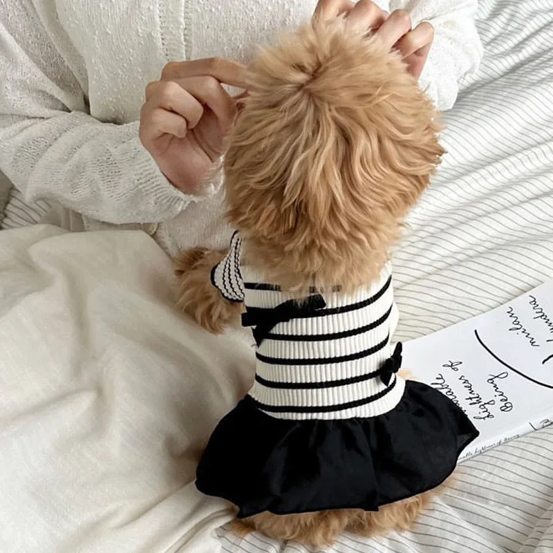Sudadera con capucha para perros pequeños – Chihuahua y Poodle - imagen 4