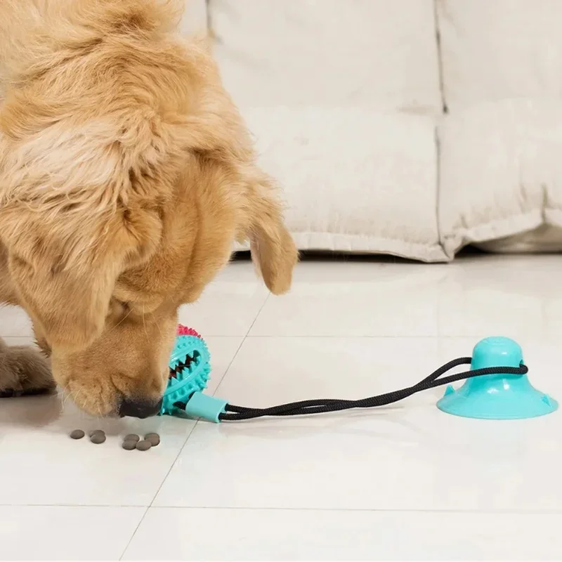 Pelota interactiva con ventosa para perros y cuidado dental - imagen 3