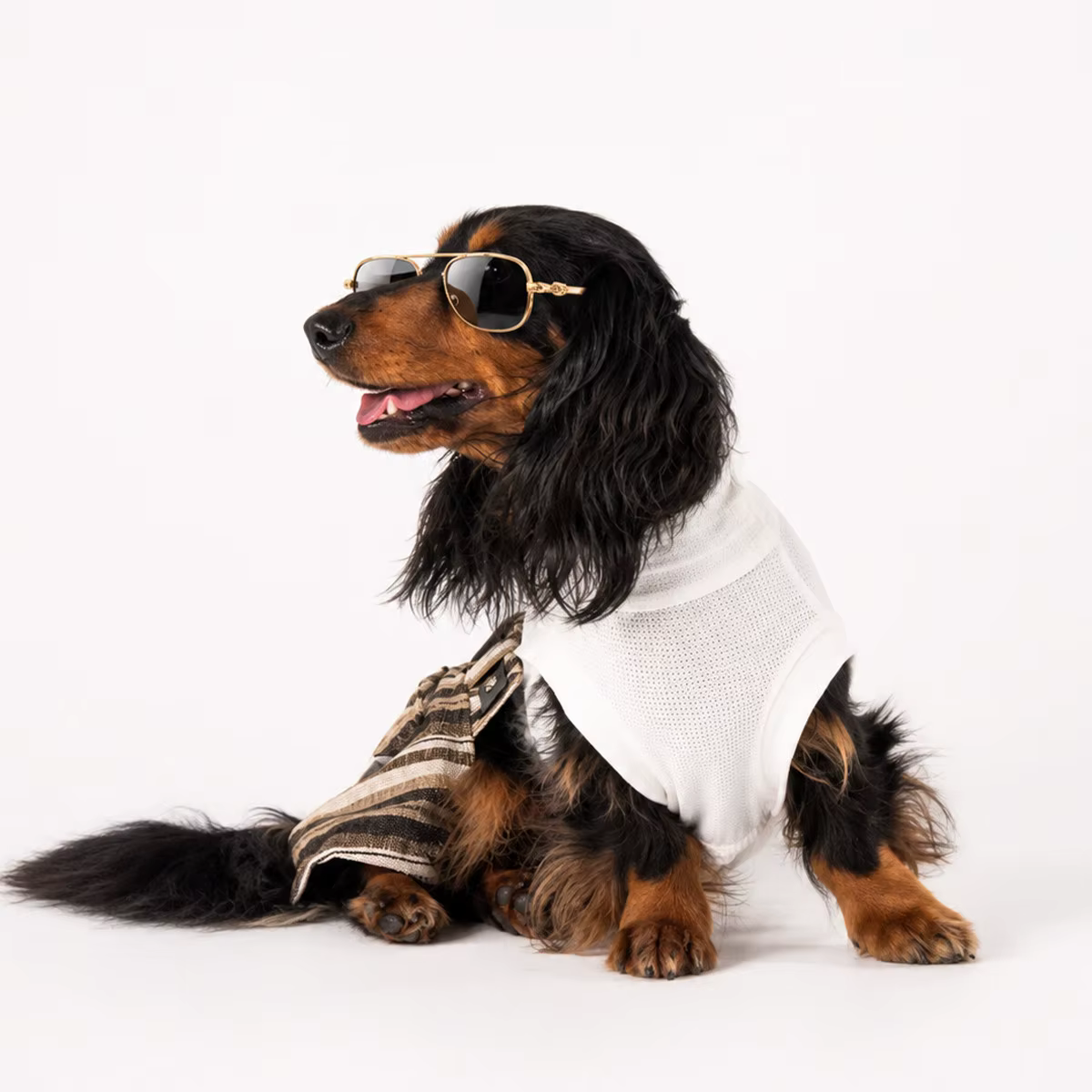 Chaleco sin mangas y pantalón para Dachshund, ropa de verano - imagen 2