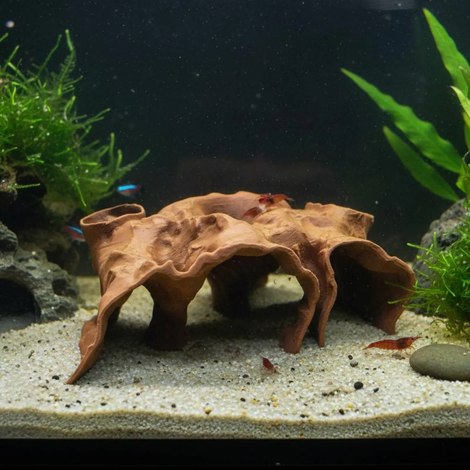 Cueva de acuario para camarones con aspecto natural, resistente