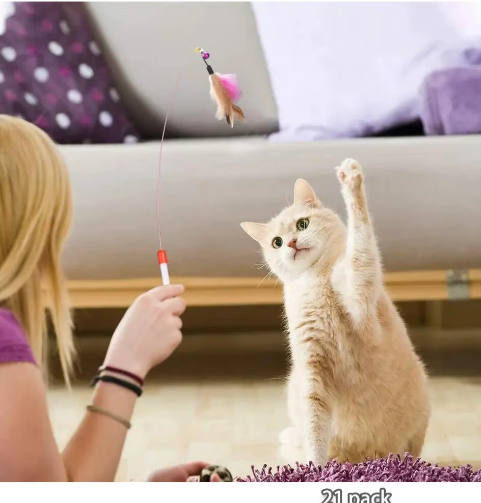 Kit de juguetes para gatos: Varita, bola de sisal y túnel - imagen 2