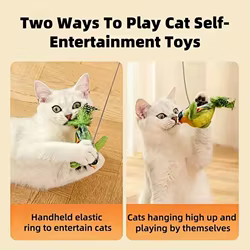Juguete para gatos con sonido de pájaro y cuerda elástica antirascados