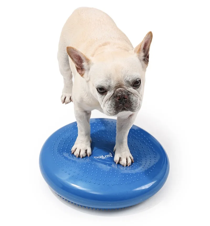 Cojín de equilibrio acolchado azul para mascotas