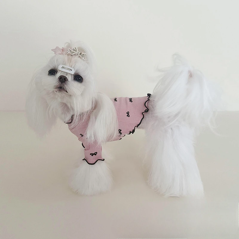 Conjunto en mascota