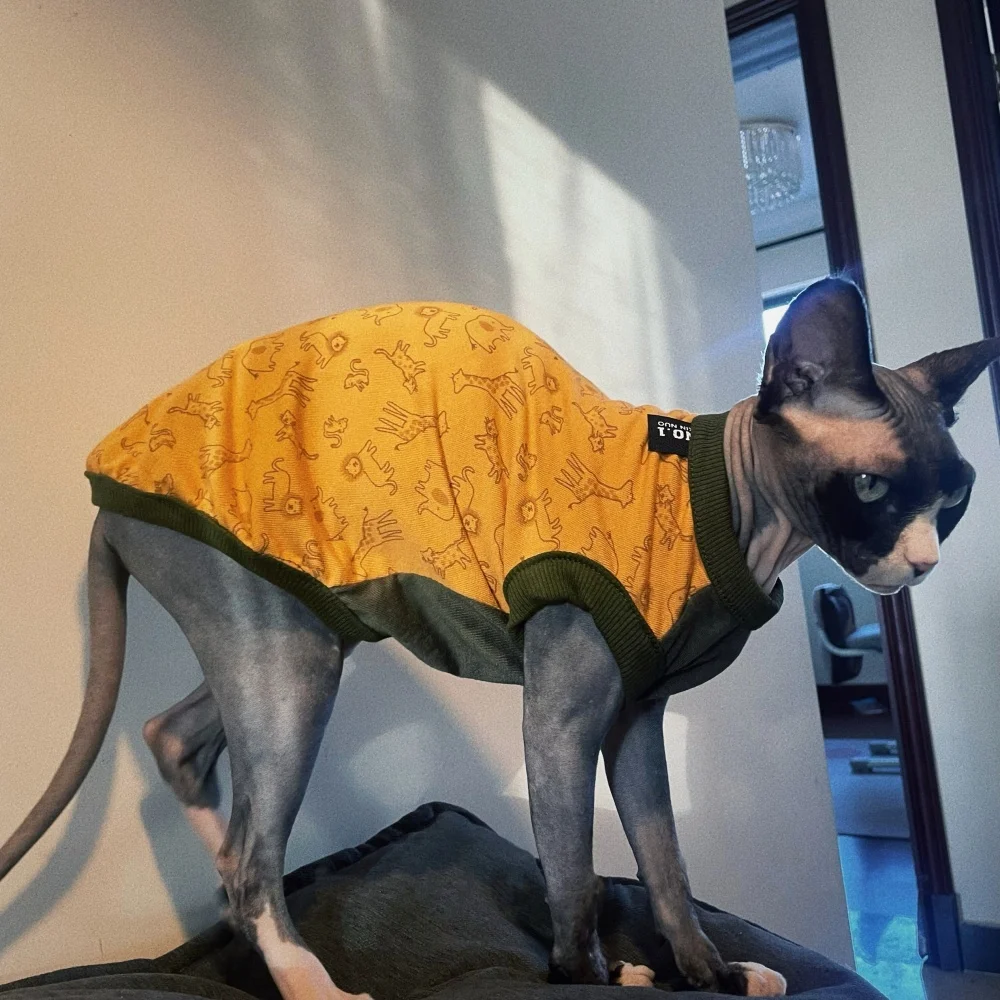 Ajuste en gato adulto