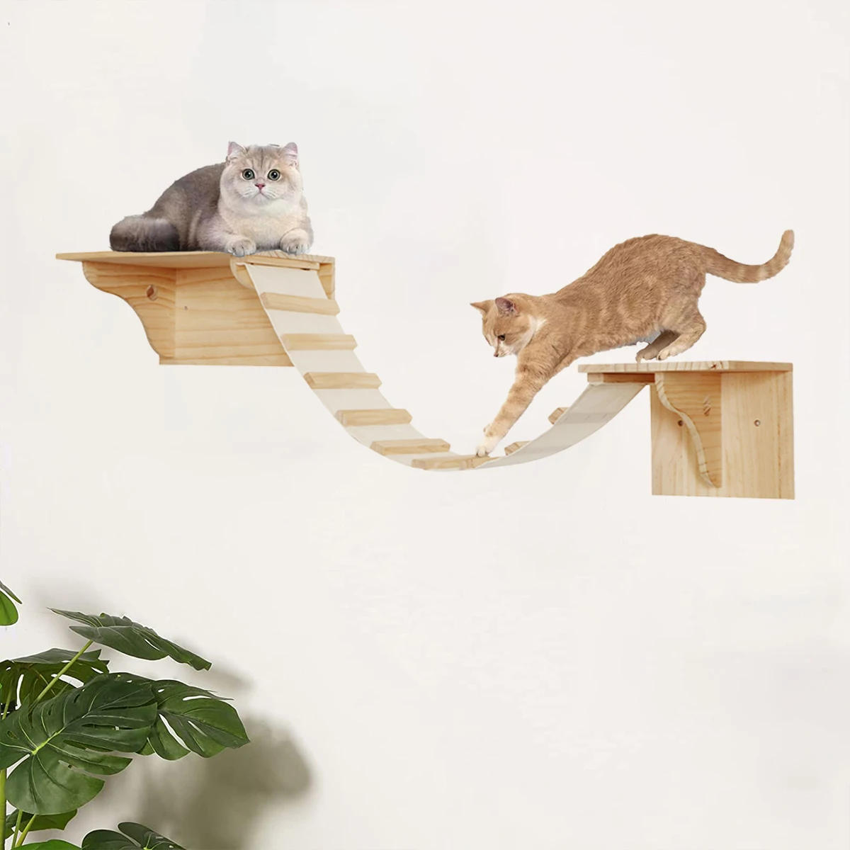 Estantes de escalada instalados en pared