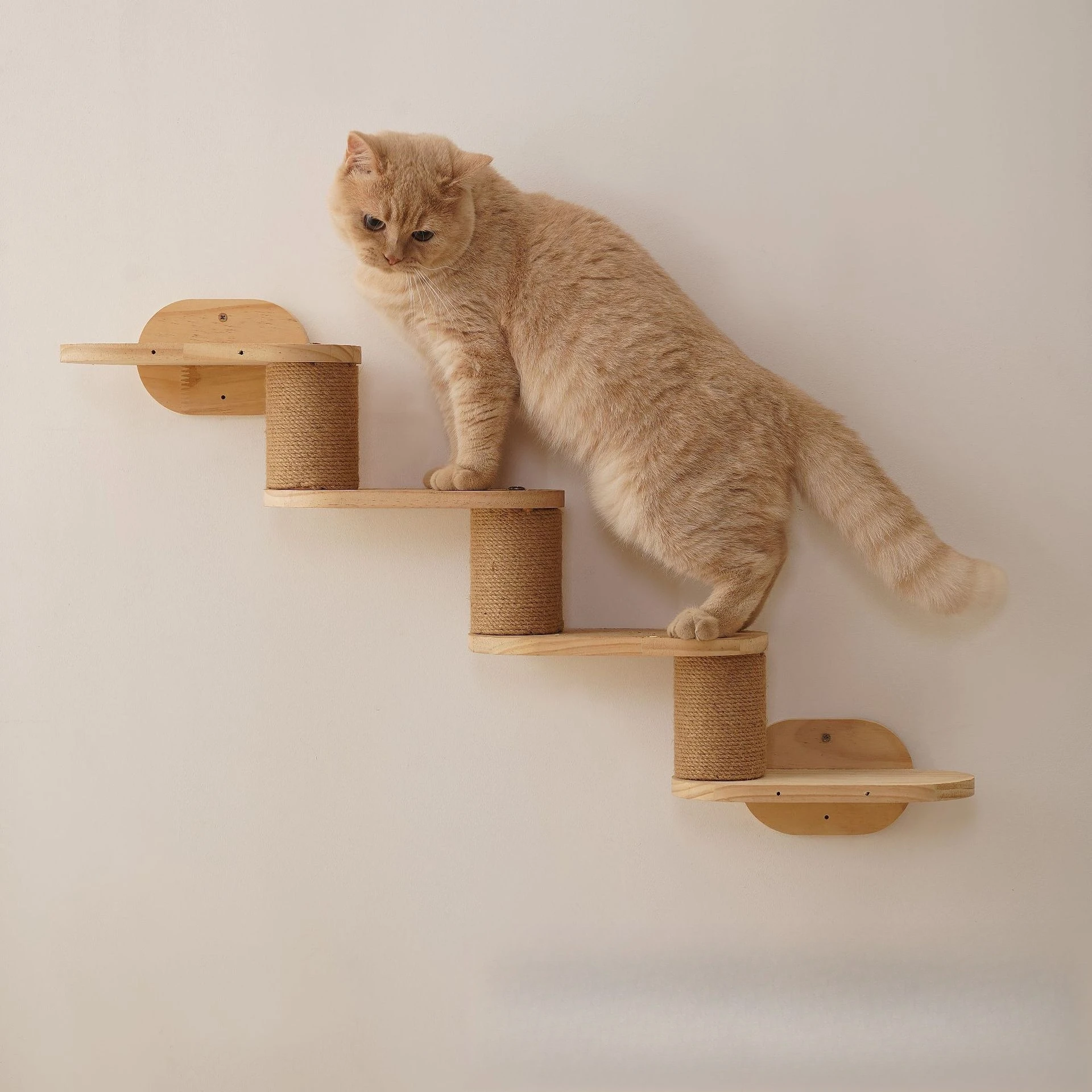 Estructura montada para fomentar la escalada