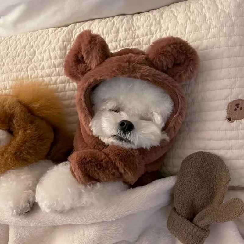 Chaleco cálido para perros pequeños y suéter para gatos - imagen 4