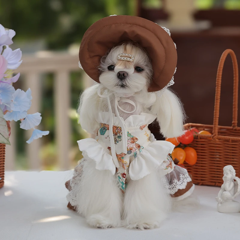 Perro pequeño usando el vestido