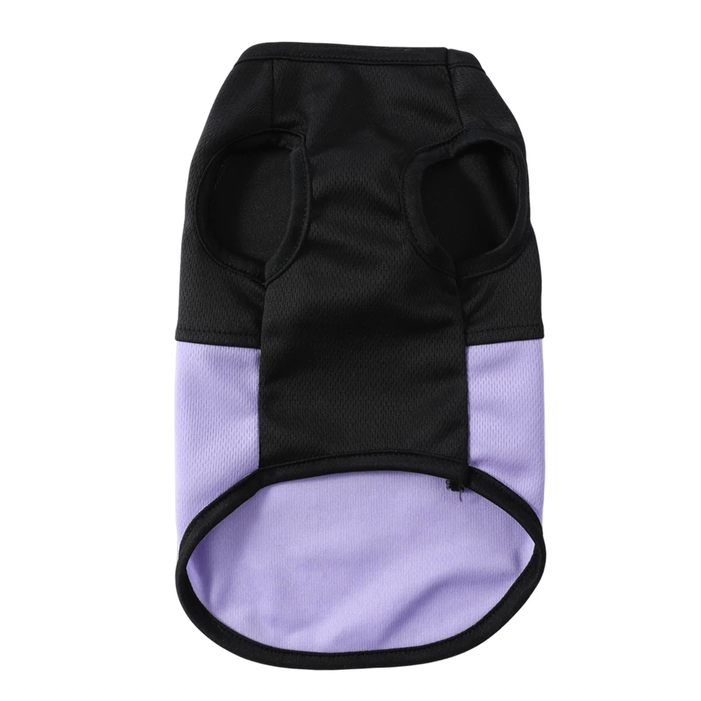 Paleta de colores: turquesa, morado, rosa
