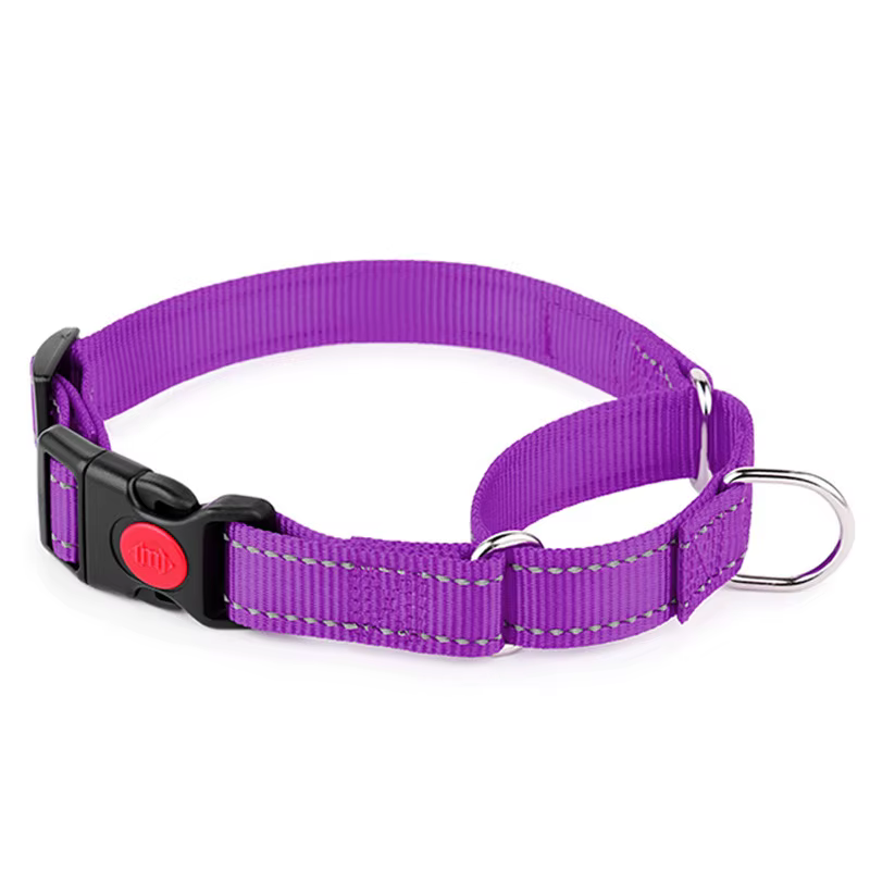Collar Martingale Reflectante para Perro – Antitirones y Antiestrangulamiento - imagen 2