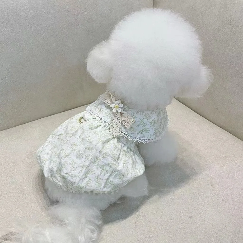 Chaleco floral en perro pequeño