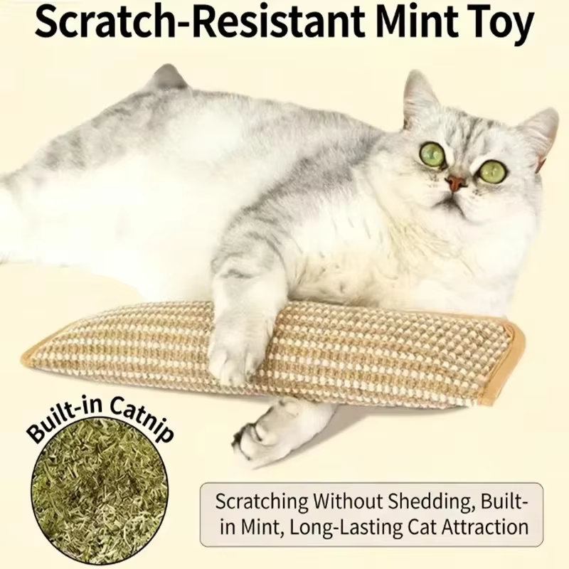Gato junto al rascador de sisal
