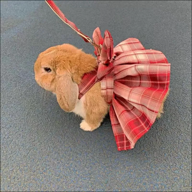 Chaleco de malla a cuadros con arnés para conejo y gatos - imagen 5