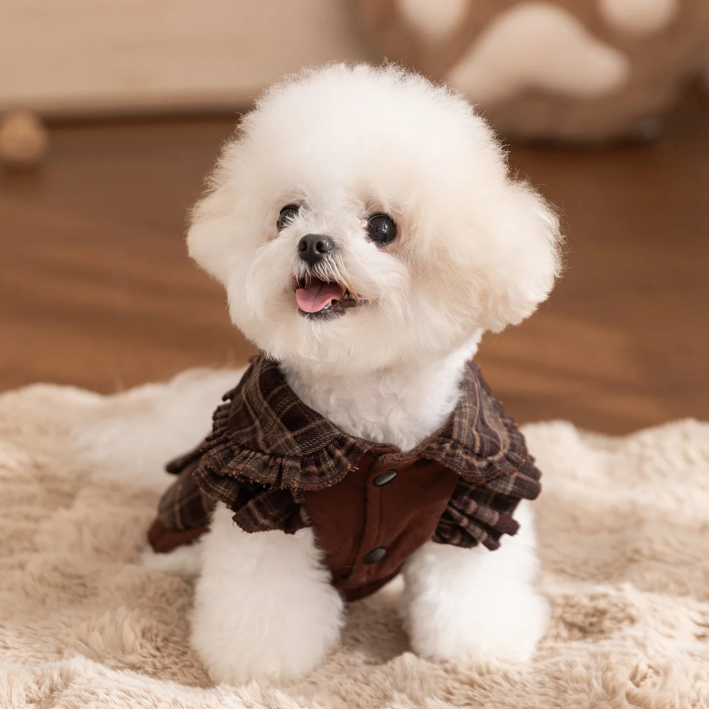 Vestido con capucha para gato atigrado