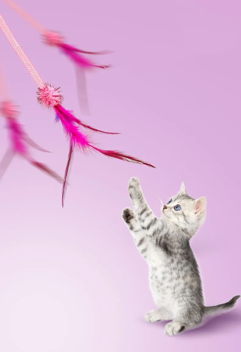 Juguete para gatos con plumas y borlas en uso