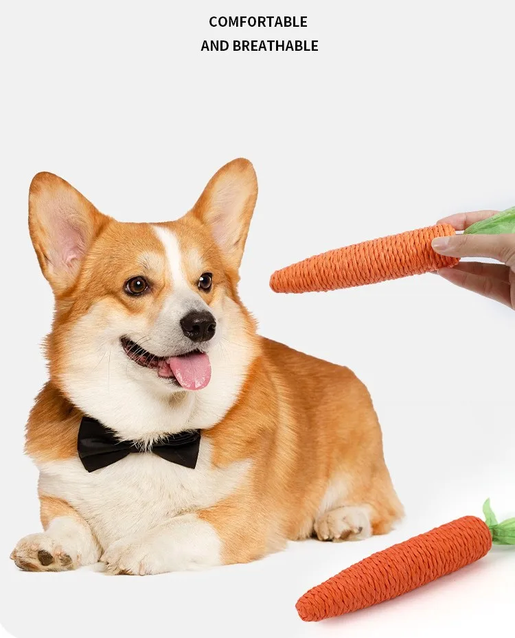 Juguete de zanahoria para perros