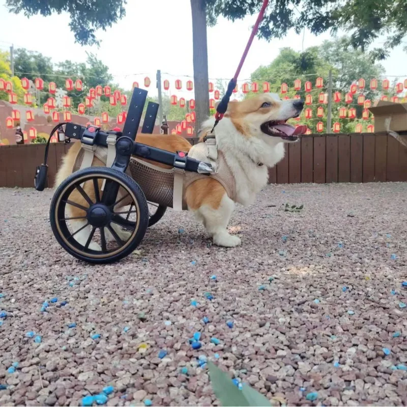 Silla de ruedas para perros medianos y grandes, carrito movilidad - imagen 5