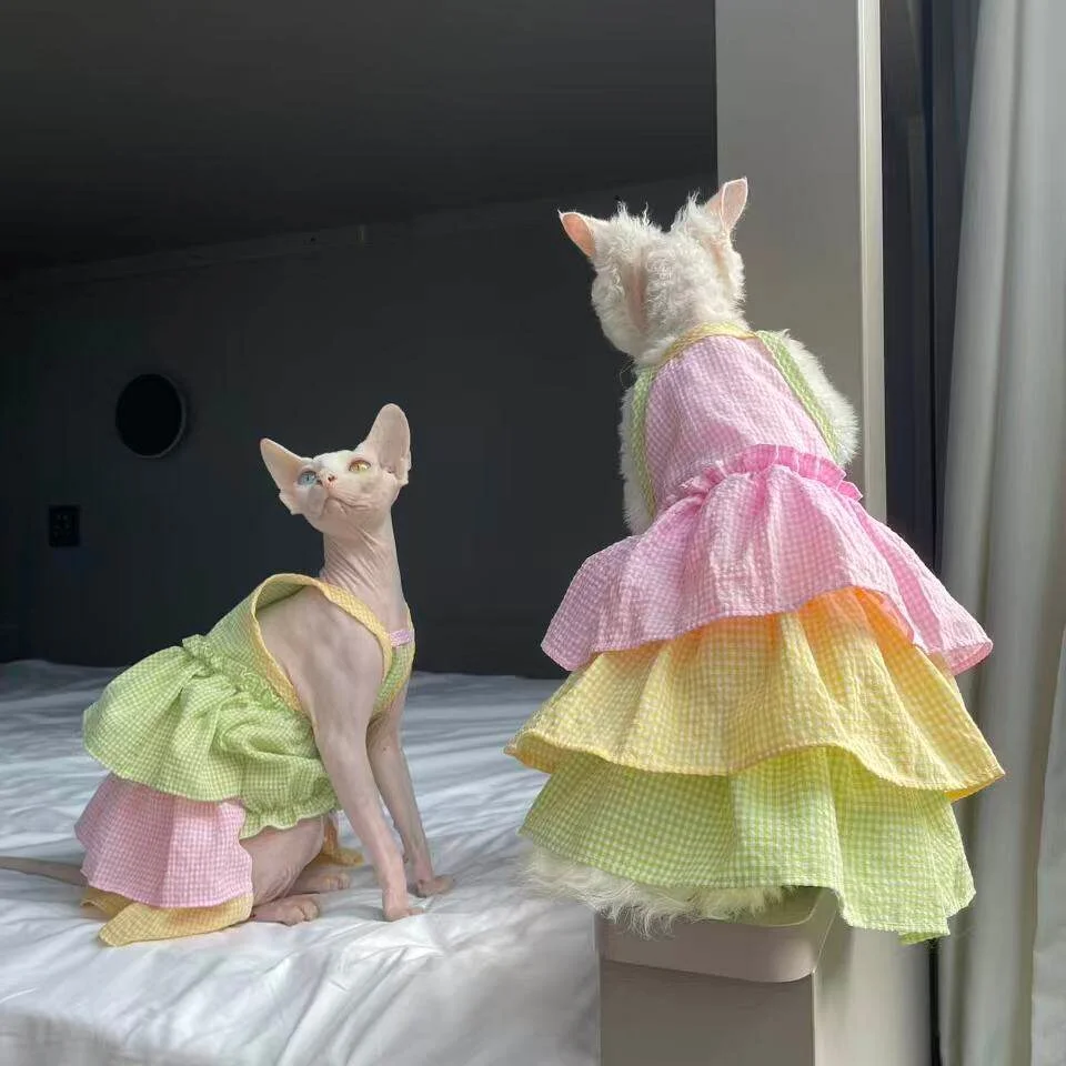 Detalle de la cintura elástica en la ropa