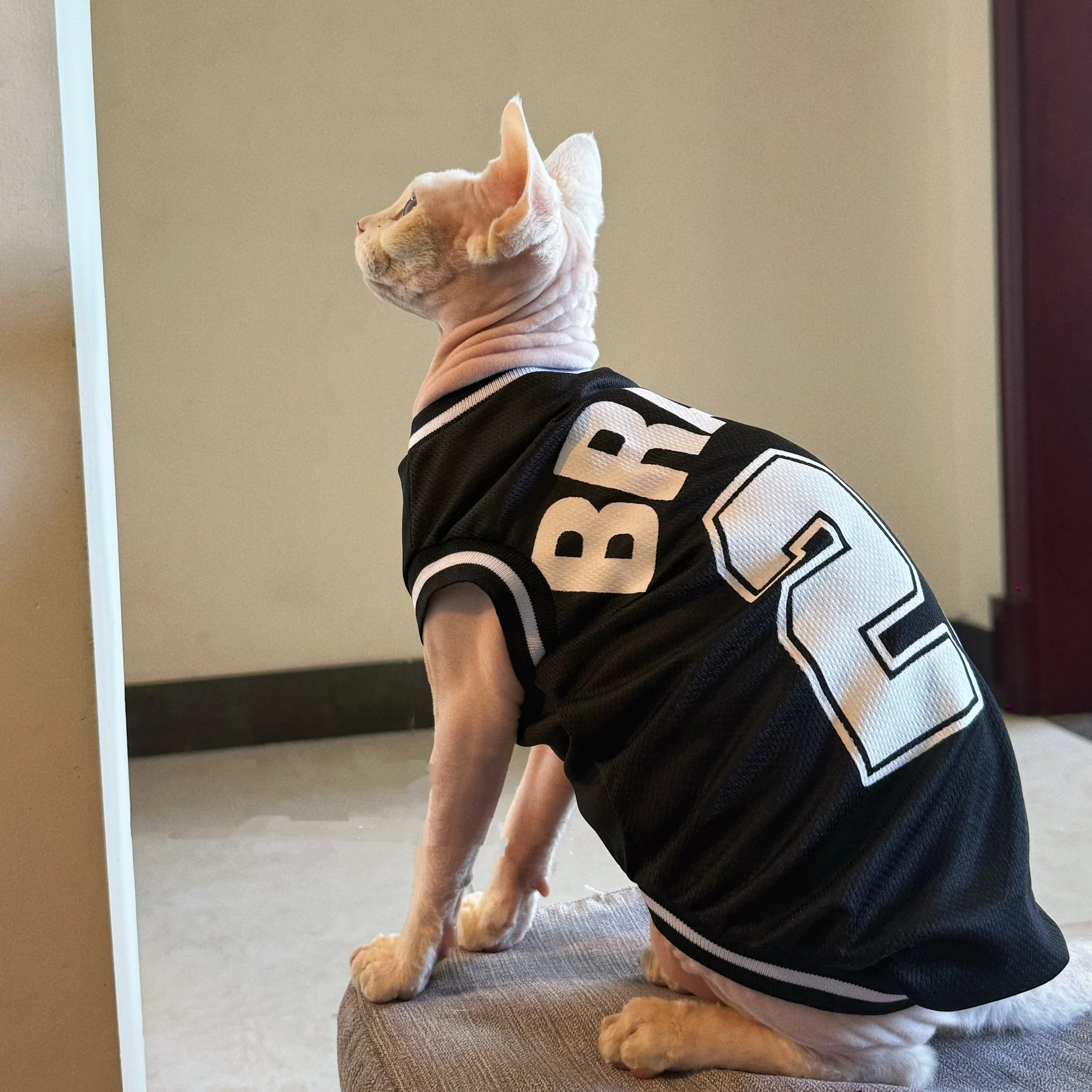 Camiseta transpirable con protección solar para gatos Sphynx