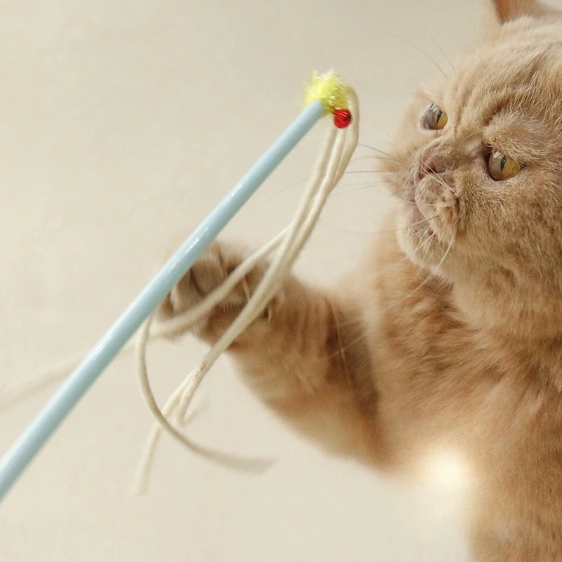 Caña interactiva lana con cascabel para gatos – Limpia dientes