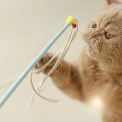 Caña interactiva lana con cascabel para gatos – Limpia dientes