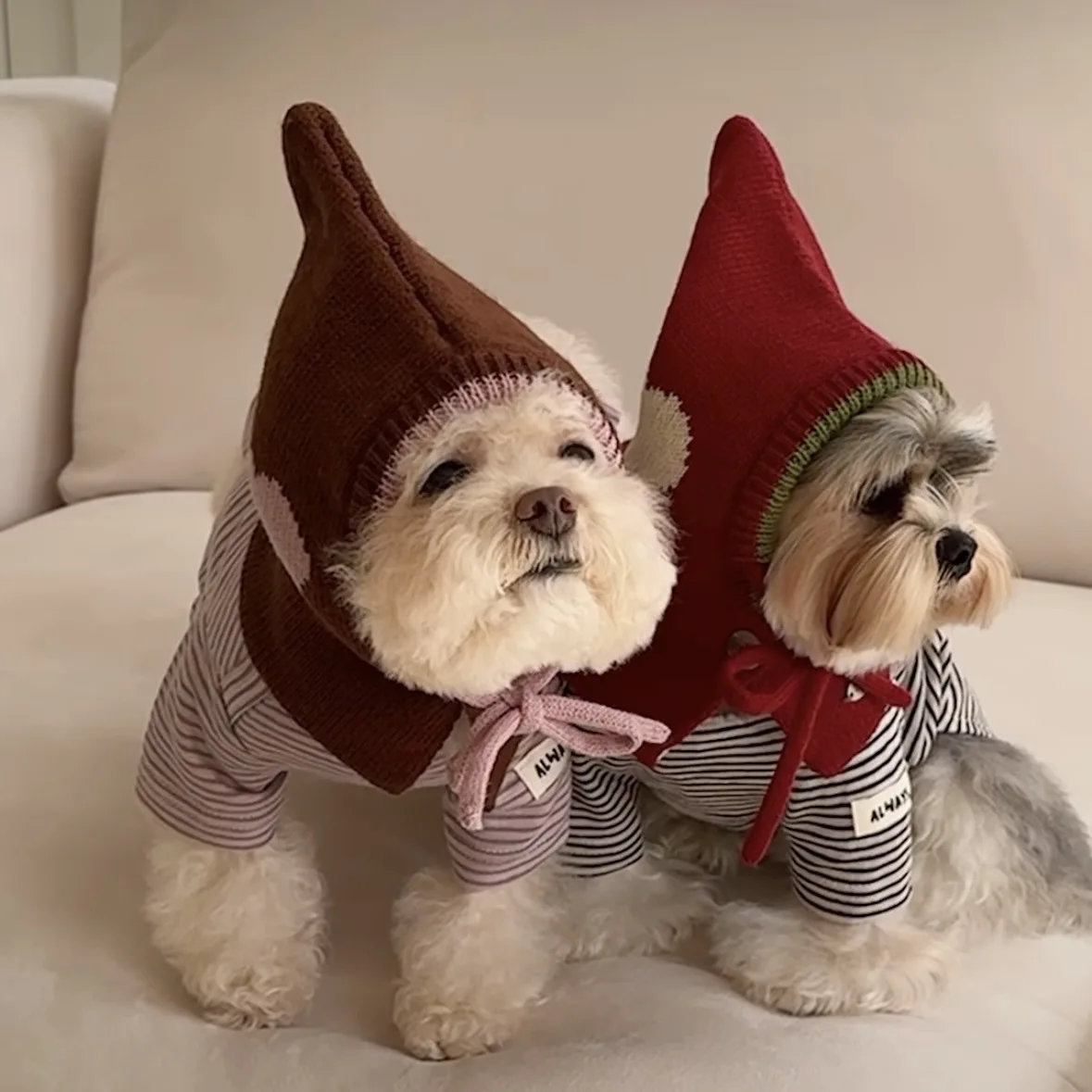 Gorro tejido para perros pequeños y gatos - imagen 4