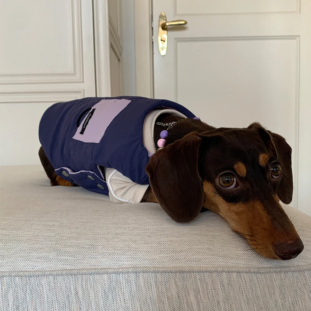Chaleco reversible polar cálido para perro Dachshund tipo mono - imagen 5