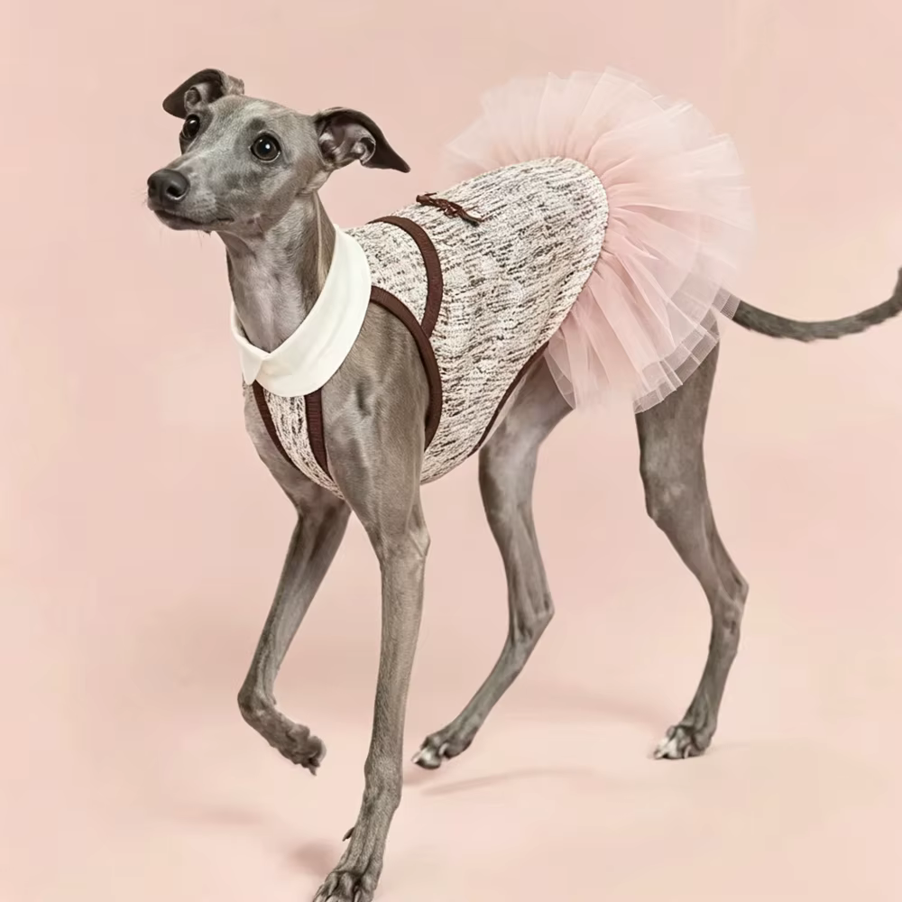 Vestido de ballet para Whippet y Bedlington, falda encaje sin mangas - imagen 5