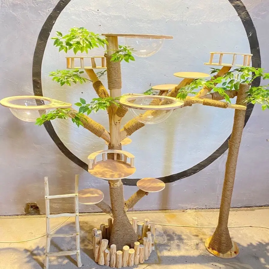 Detalle de plataforma y cuerda