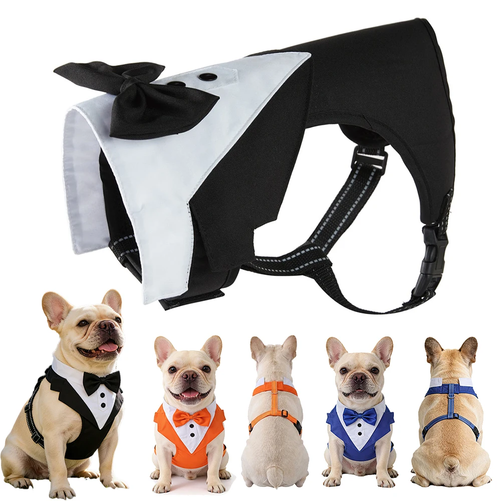 Disfraz Bulldog Francés para perros: traje caballero para fiesta - imagen 2