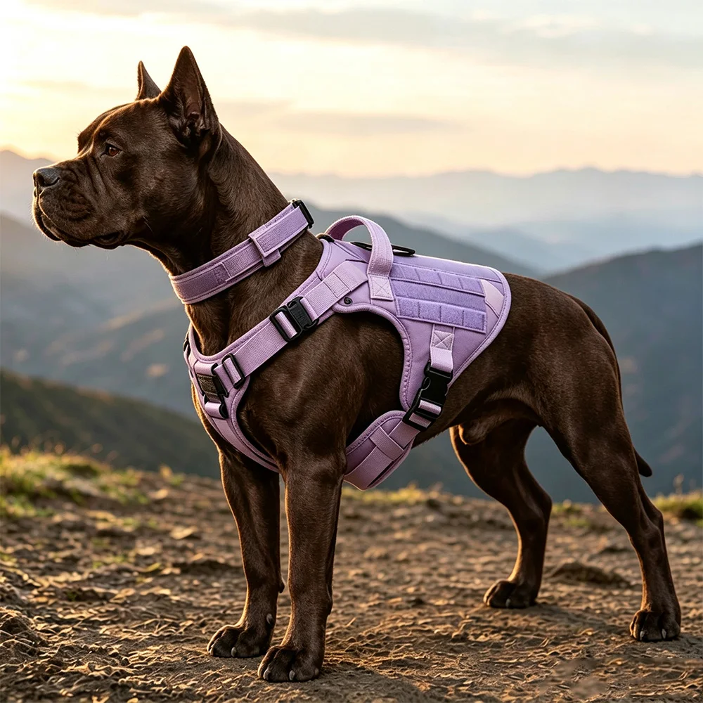 Arnés y Correa Tácticos para Perro con Asa – Morado Antichoque para Paseo y Entrenamiento - imagen 5