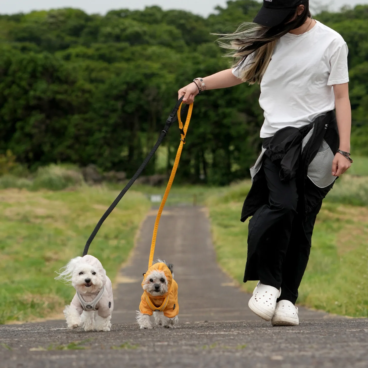 Mono de malla para perros vista trasera