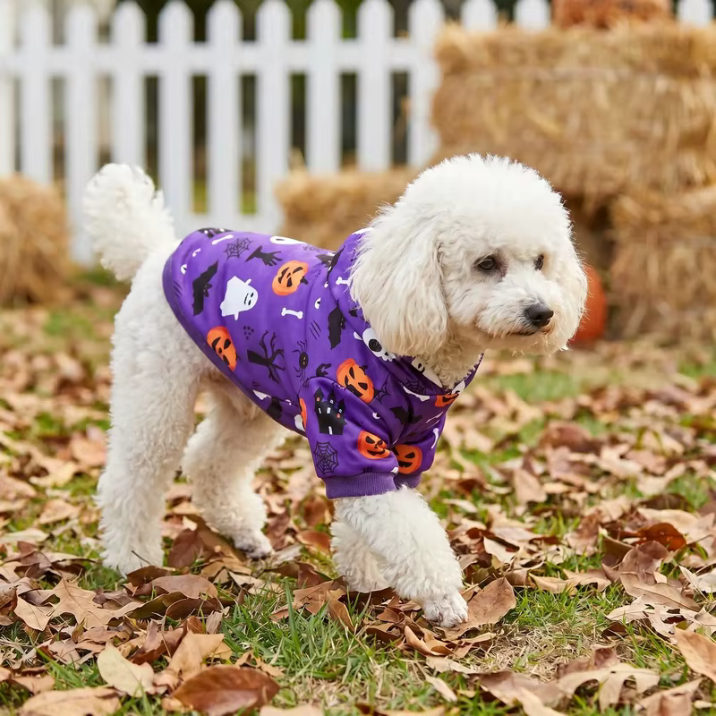Sudadera con capucha morada para perros y gatos – Disfraz de Halloween - imagen 2