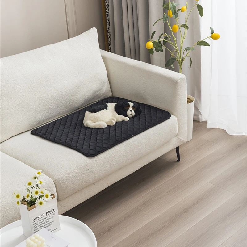 Alfombrilla absorción