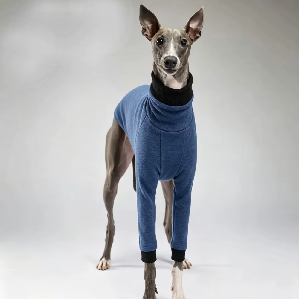 Camiseta perro cuello alto algodón elástico manga larga Galgo Italiano - imagen 3