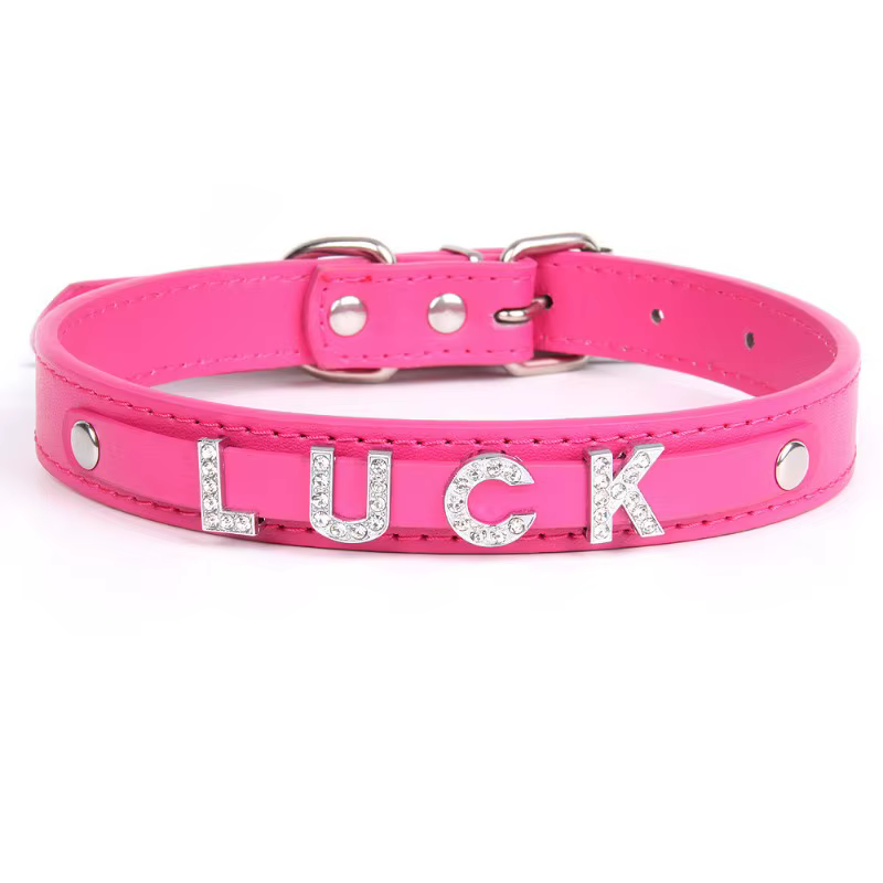 Collar con nombre personalizado para perro y gato - imagen 2