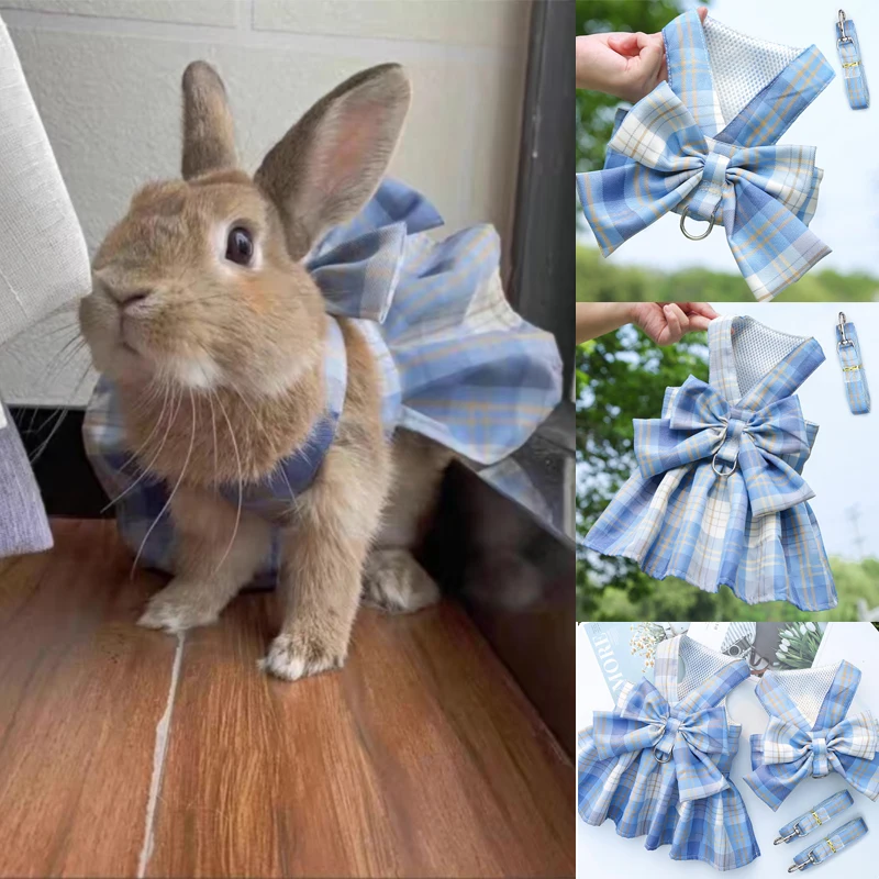 Mascota con chaleco y conjunto de accesorios