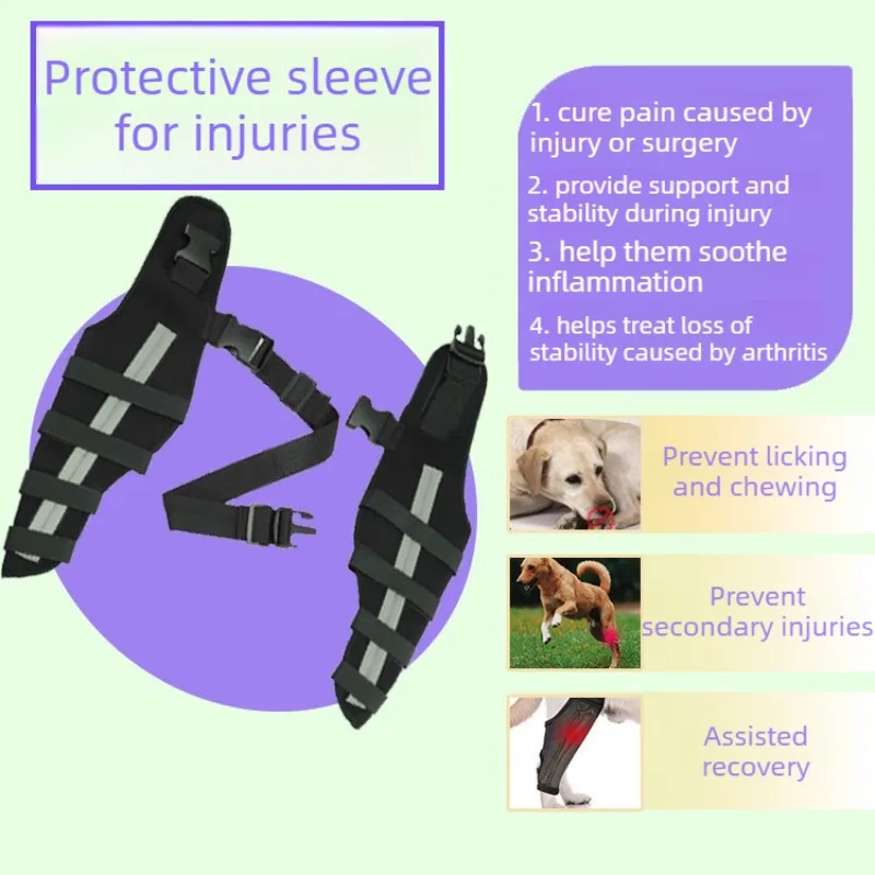 Soporte patas traseras para perros grandes: ayuda al caminar - imagen 4