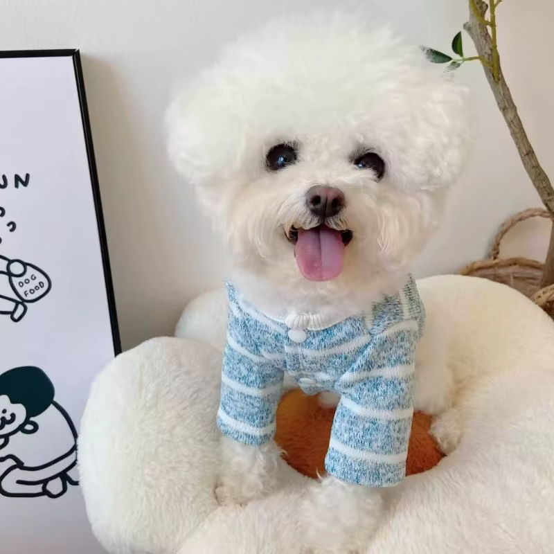 Sudadera con capucha para perro bichón o gato – Cálida y divertida - imagen 3