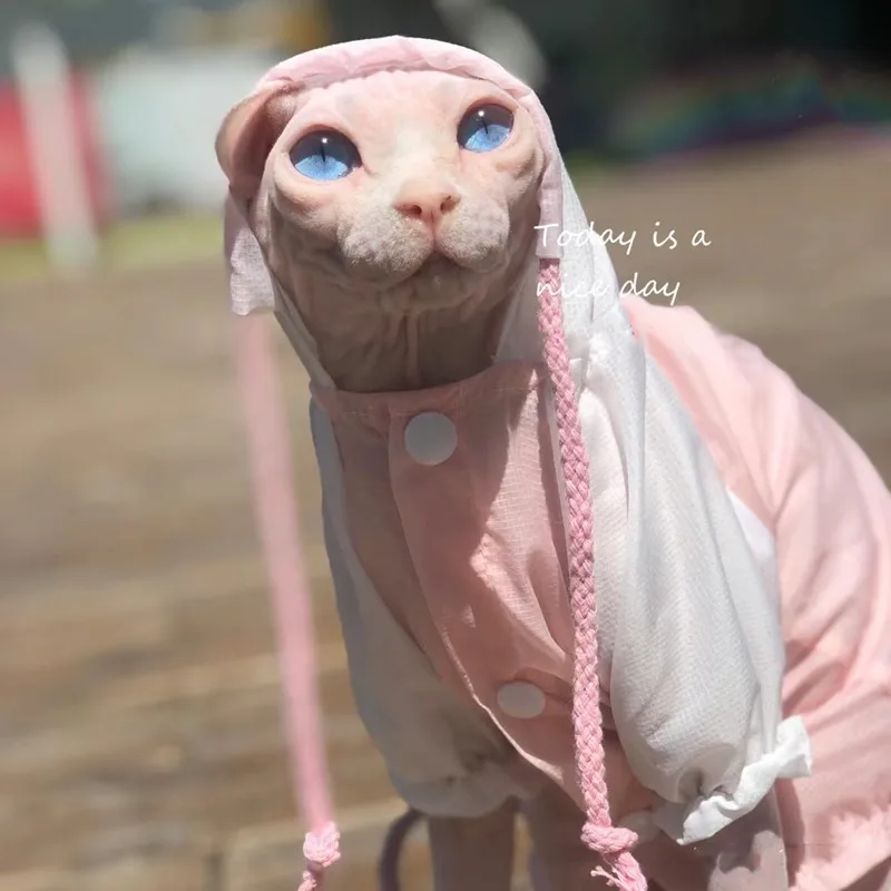 Gato cómodo con protección UV