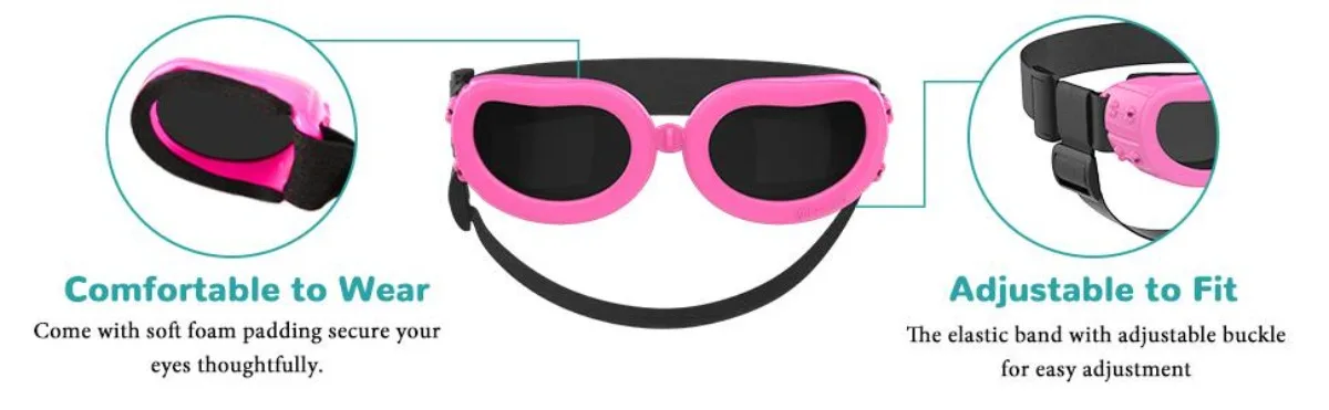 Mascota usando gafas ATUBAN en exterior