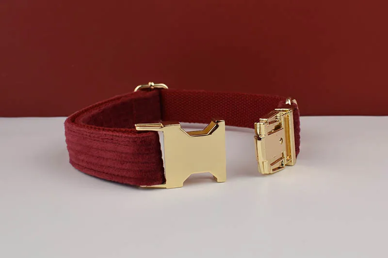 Set completo con correa y accesorios