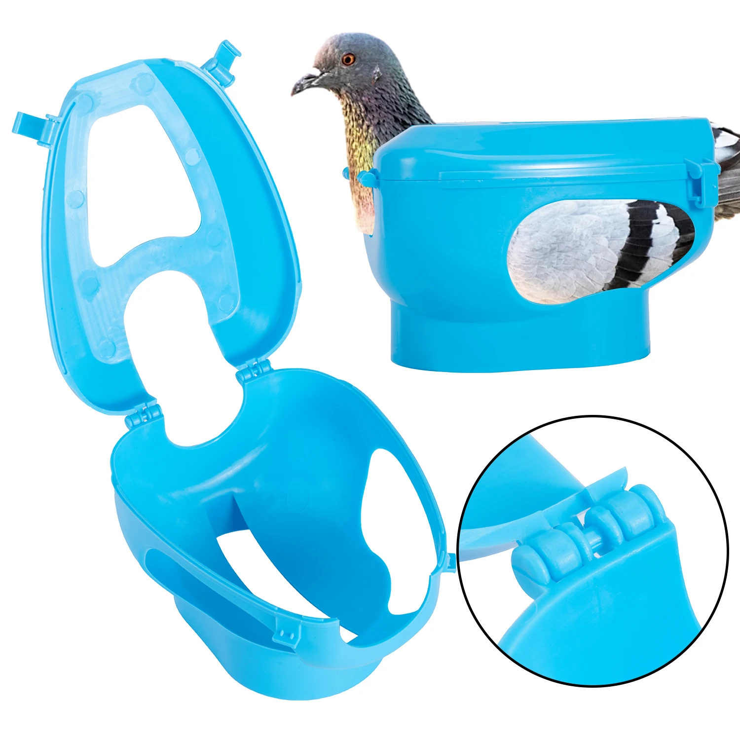 Soporte para palomas de carreras azul visto de frente