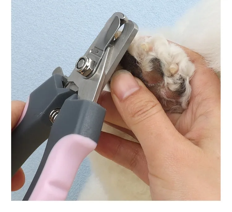 Tijeras Multicolor para mascotas con agarre ergonómico