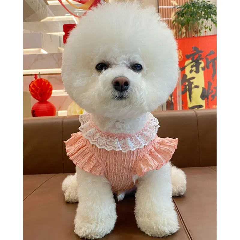 Vestido de verano para perros y gatos Sweet Girls, con capucha - imagen 4
