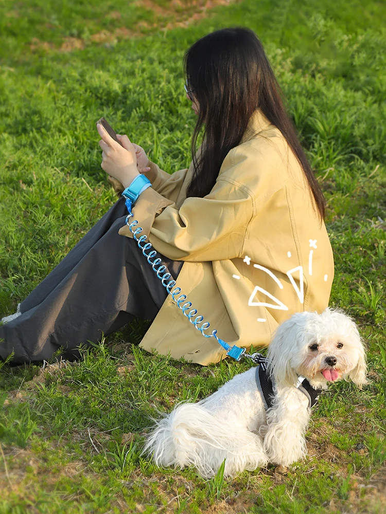 Correa retráctil miss doggy para perros